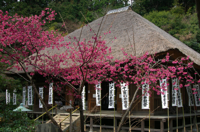 杉本寺